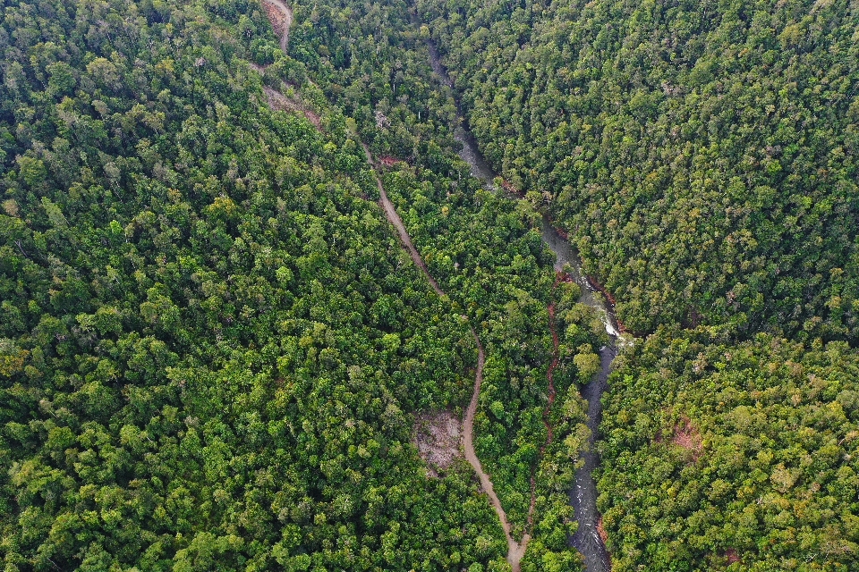 screen_5485ceae2921cd2e_1684655504000